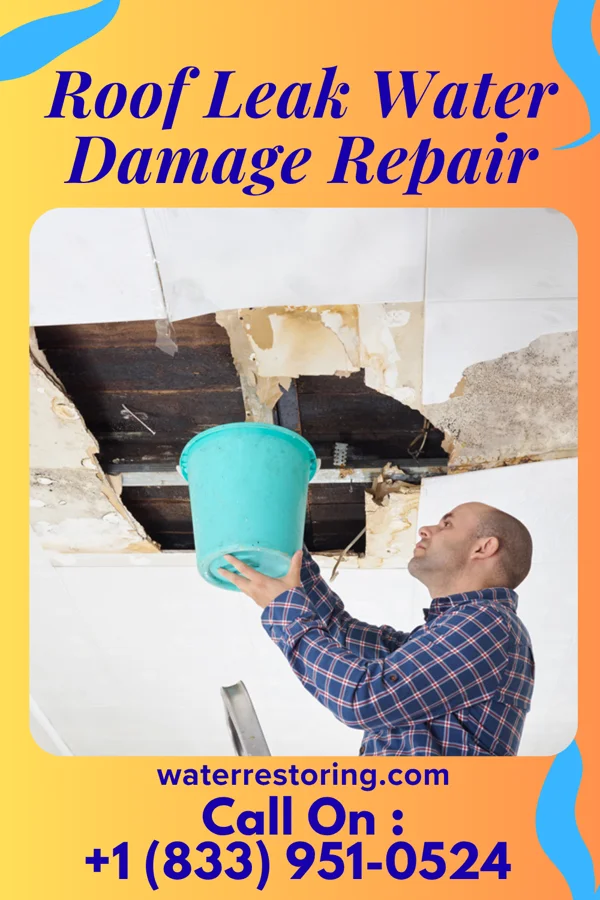 Roof Leak Water Damage Repair in Lock Springs, MO