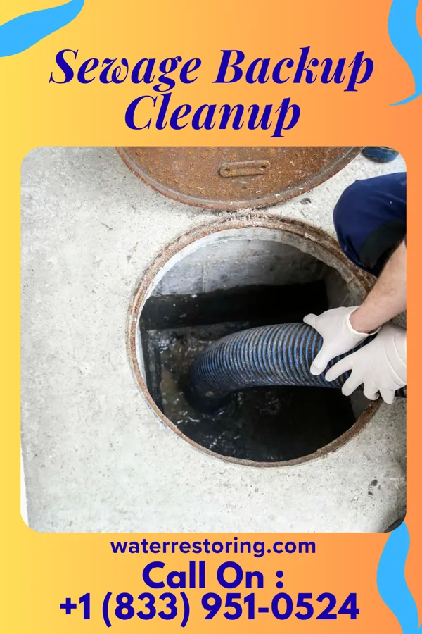 Sewage Backup Cleanup in Lock Springs, MO